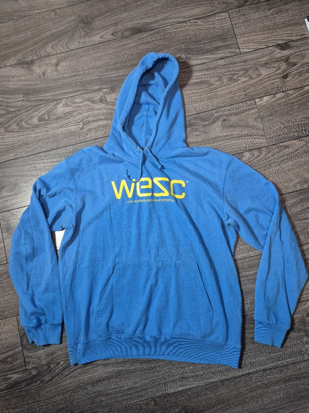 VTG WeSC Blue Graphic Pullover Hoodie Size Large Y2K Skater Streetwear